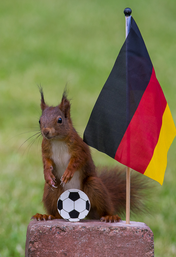 hi, ich bin deutsche Fußballfan.