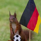hi, ich bin deutsche Fußballfan.