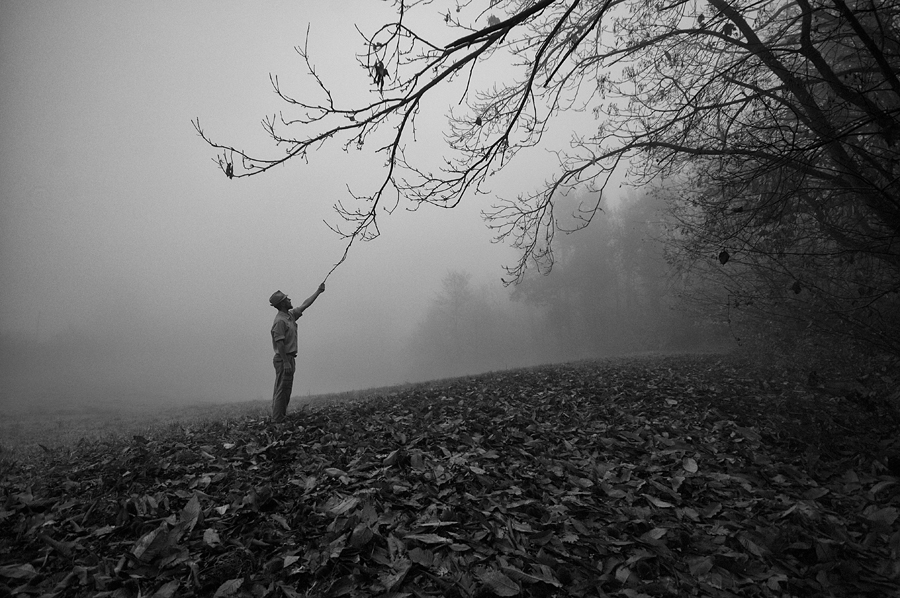 Hi, I'm Carlo. Nice to meet you, I'm the Forest