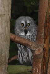 Hi... I'm so shy you know...