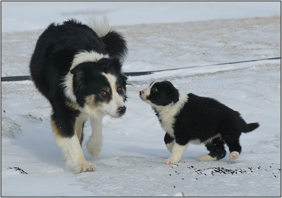 Hi Mum, ich war ganz ganz lieb :)