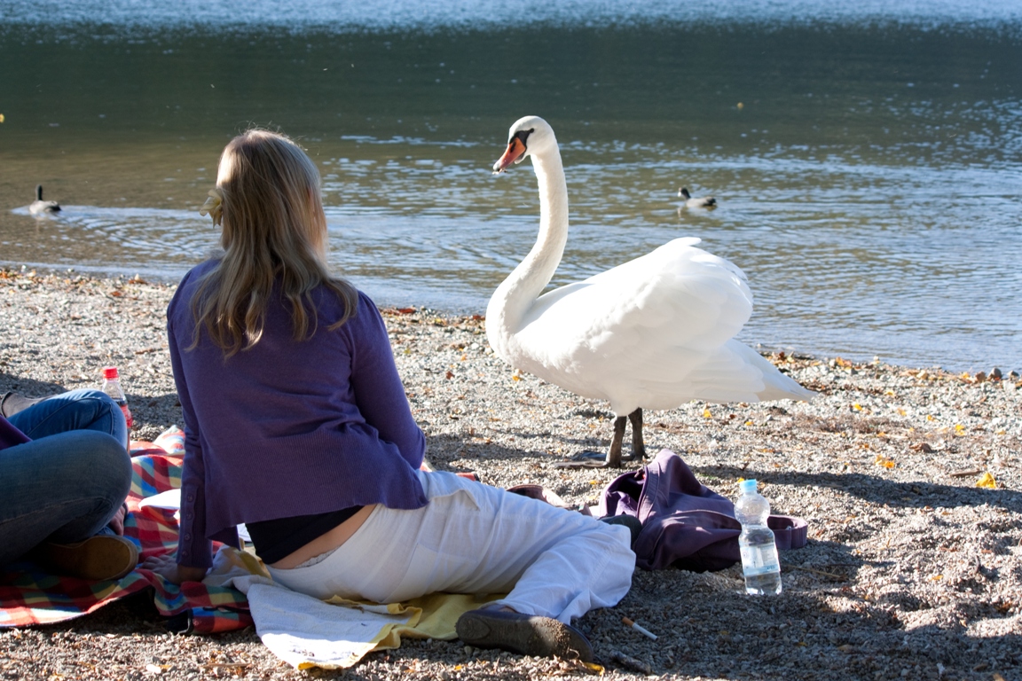 Hi Süße. Mich nennen hier alle Schwan...