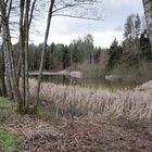 Hiandlteich mit 18mm