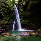 Hibiscus Falls Dominica