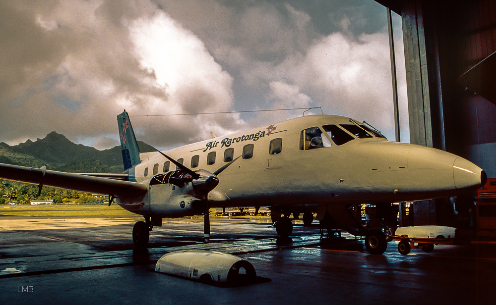 Hibiskus-Sträucher am Hangar