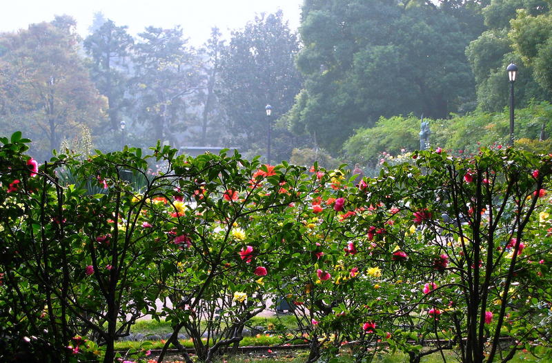 Hibiya Park Tokyo