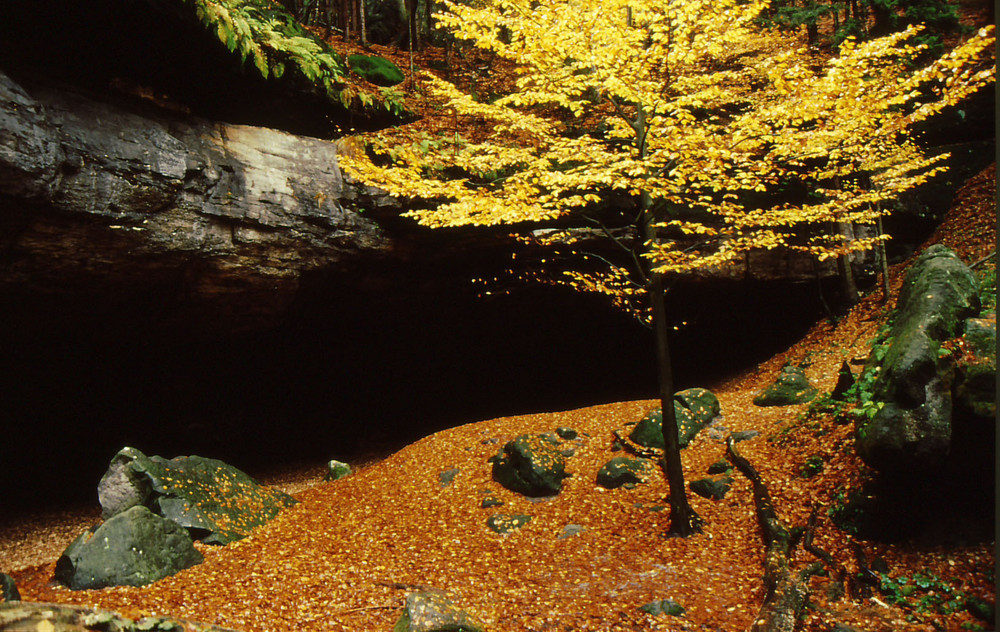 Hickelhöhle (Großer Zschand)