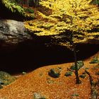 Hickelhöhle (Großer Zschand)