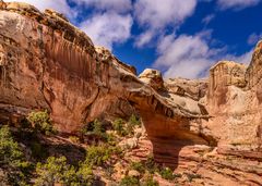 Hickman Bridge 1, Capitol Reef NP, Utah, USA