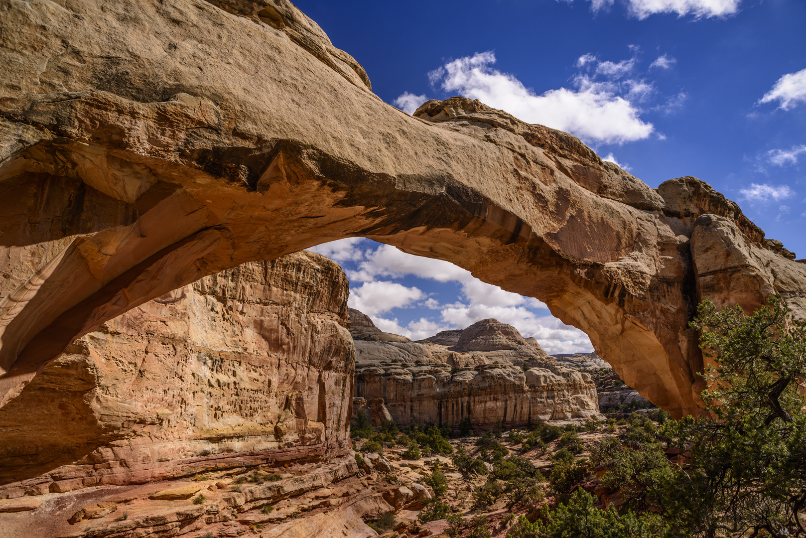 Hickman Bridge 2, Capitol Reef NP, Utah, USA