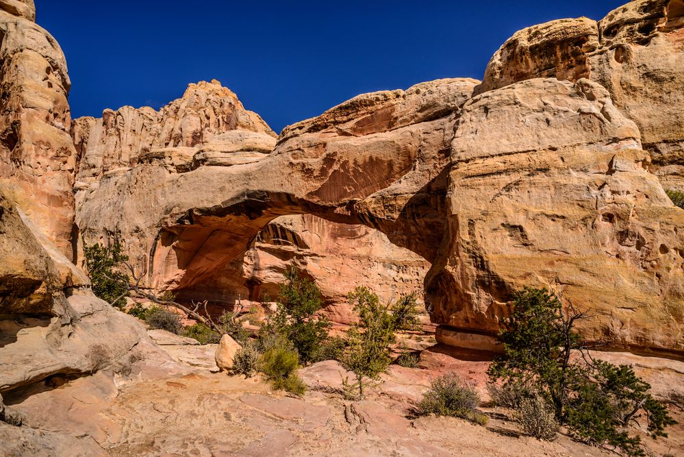 Hickman Bridge 3, Capitol Reef NP, Utah, USA