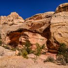 Hickman Bridge 3, Capitol Reef NP, Utah, USA