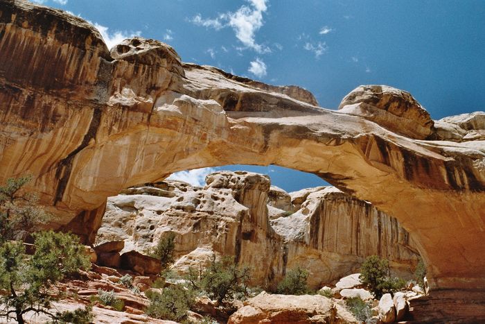 Hickman-Bridge in Capitol Reef