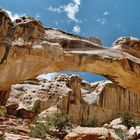 Hickman-Bridge in Capitol Reef