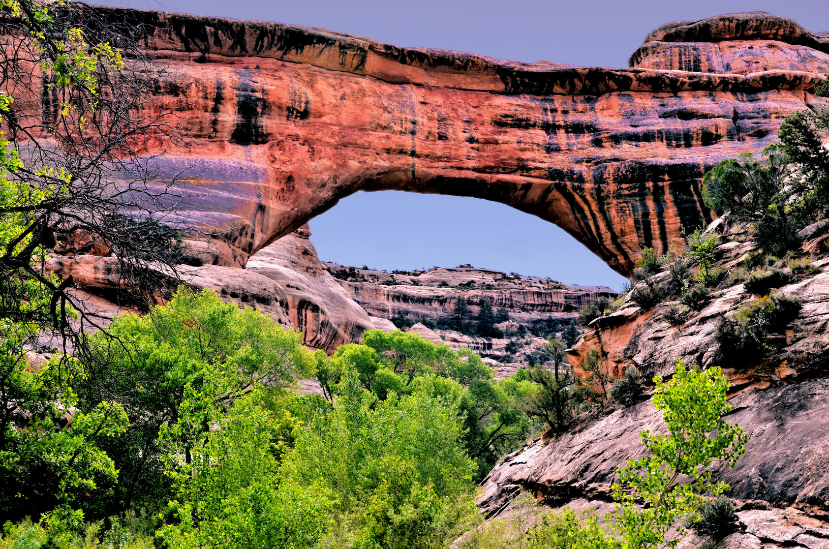 Hickman Natural Bridge