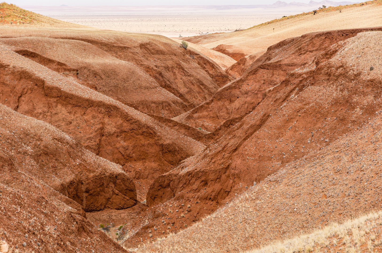 Hidden Canyon