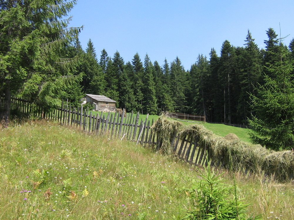 Hidden cottage