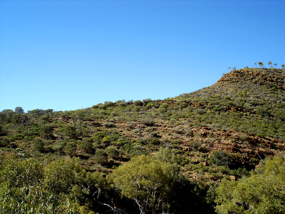 Hidden creekbed, 1