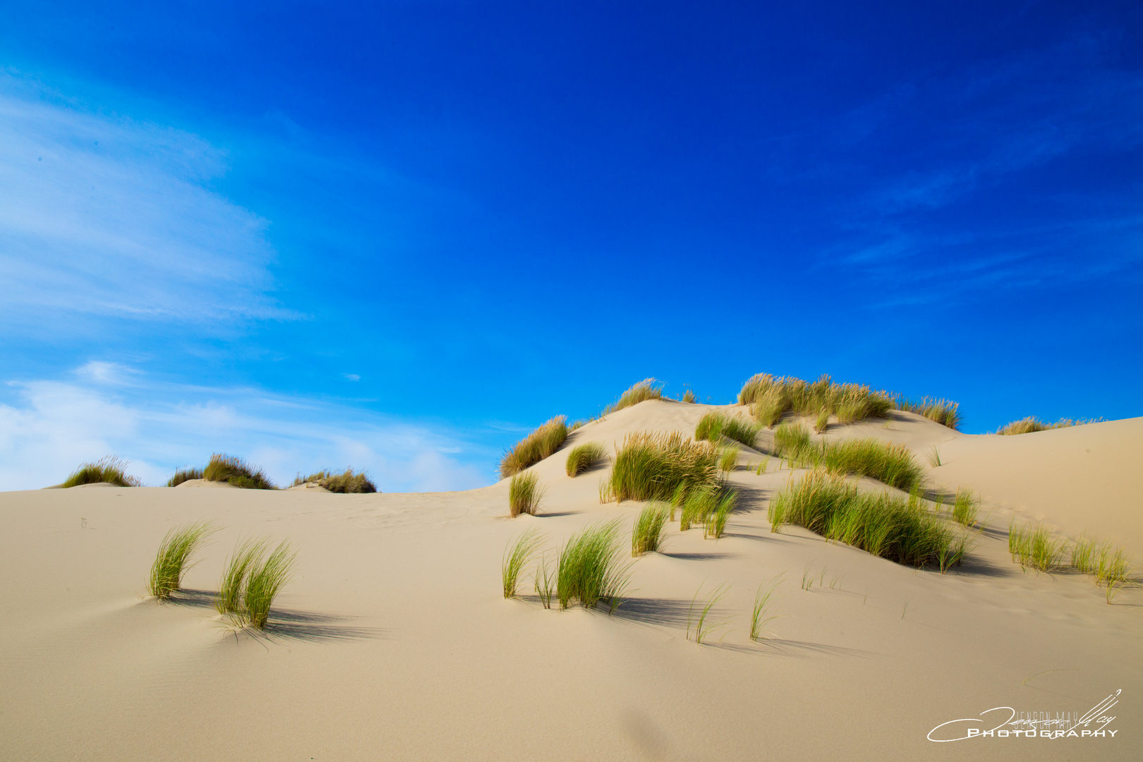 Hidden Dunes