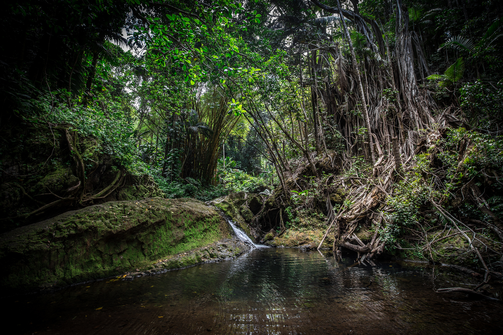 Hidden Hawaiian Beauty