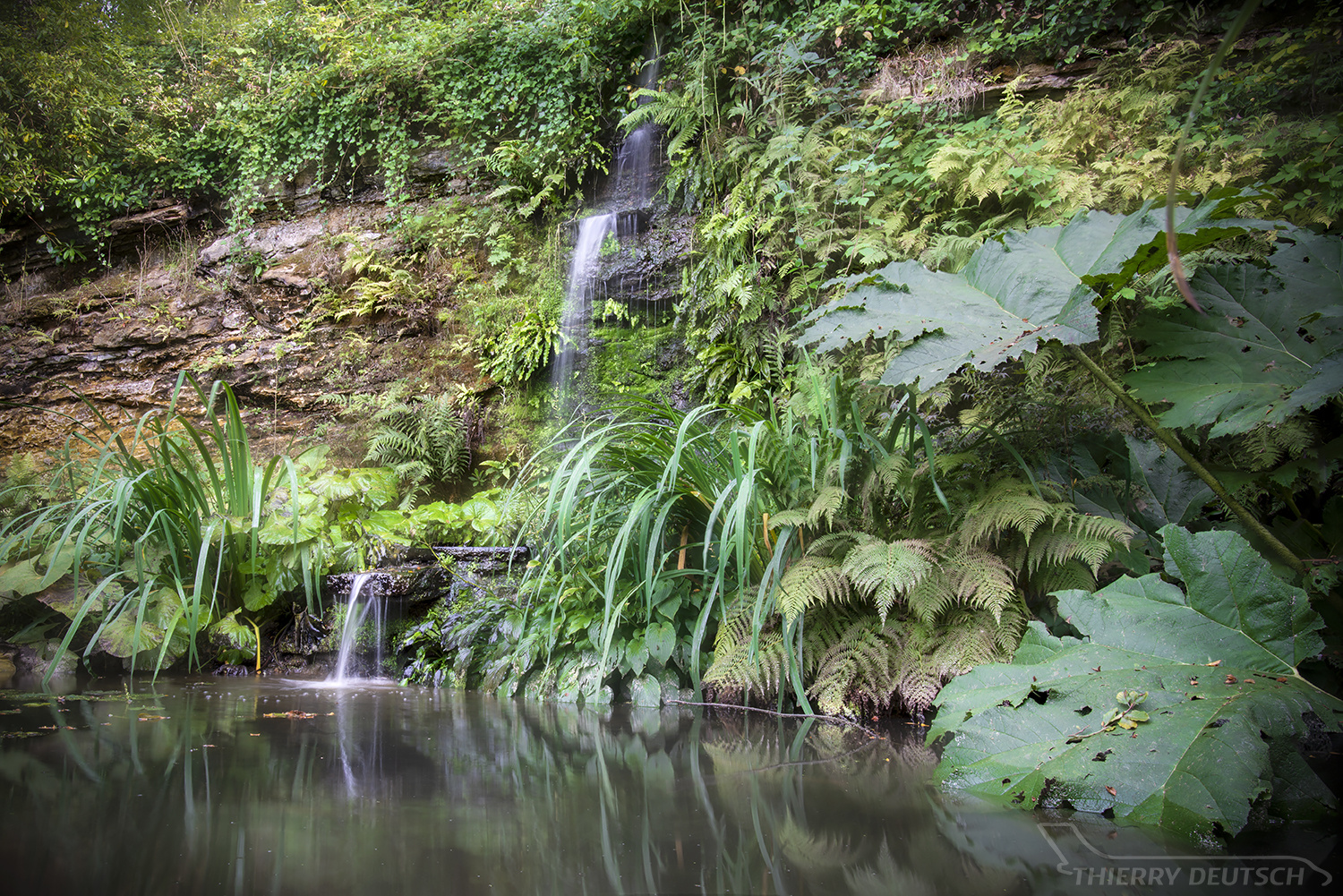 Hidden Pool