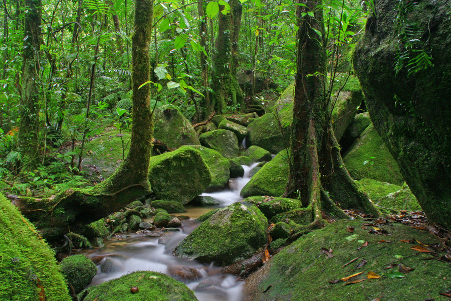 Hidden rain forest creek von MrAgain 