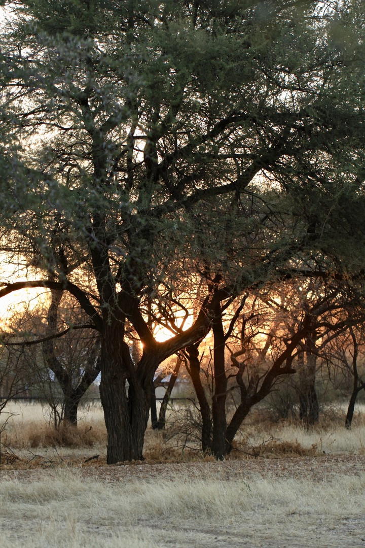 Hidden sunset