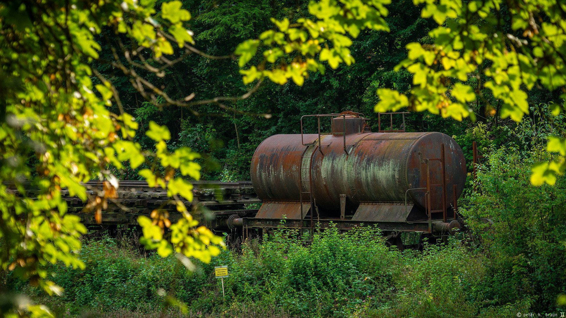 Hidden train