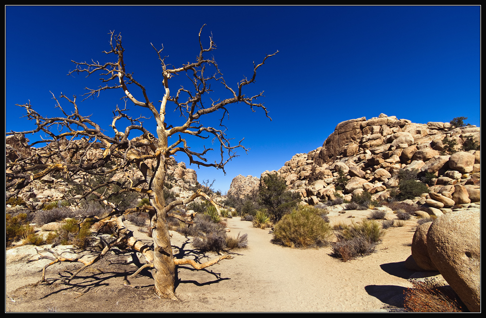 Hidden Valley im Joshua Tree Nationalpark