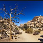 Hidden Valley im Joshua Tree Nationalpark