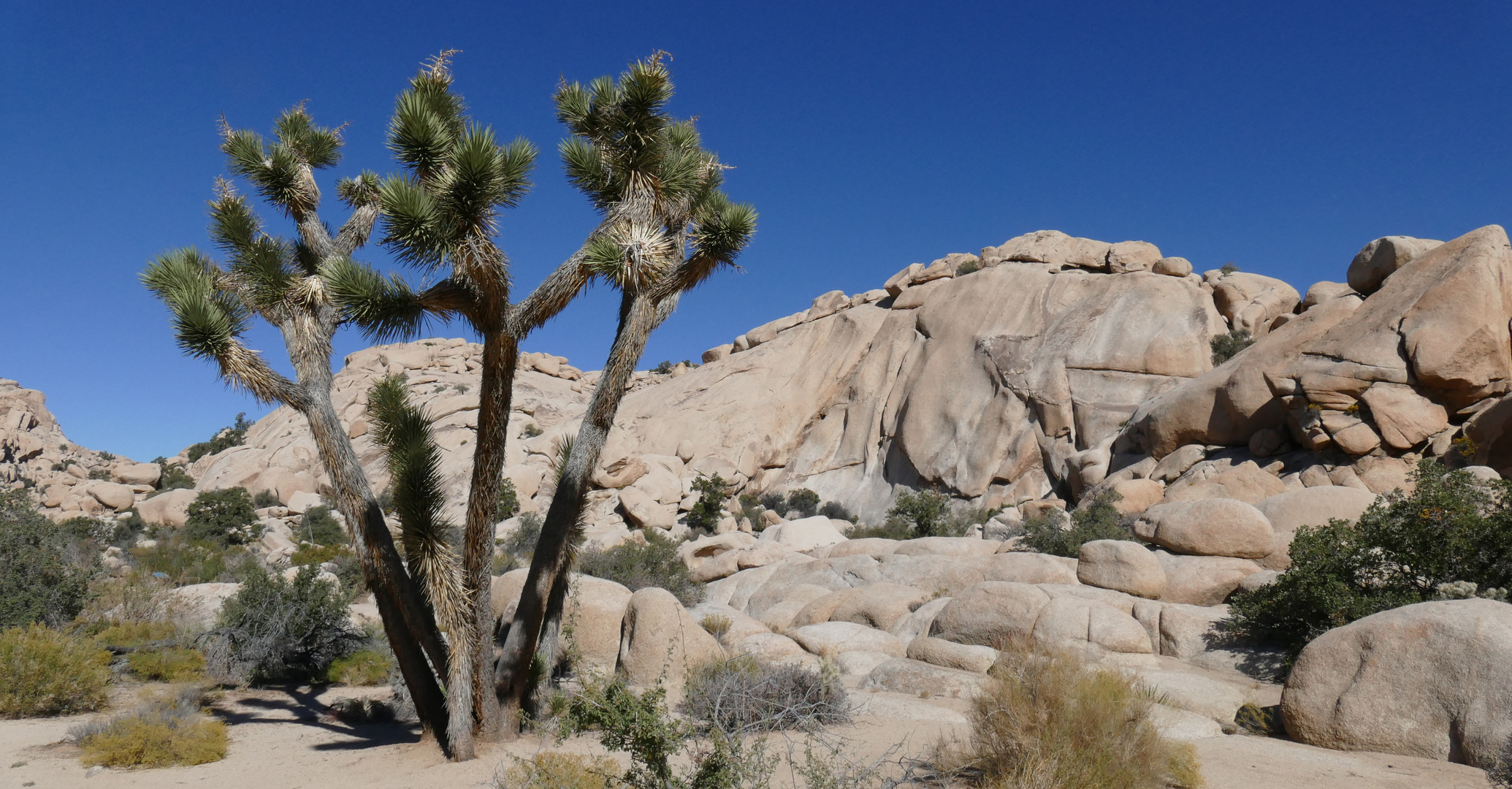 Hidden Valley im Joshua Tree Park