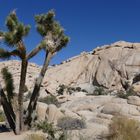 Hidden Valley im Joshua Tree Park