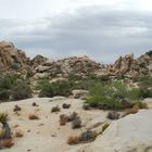 Hidden Valley Joshua Tree NP