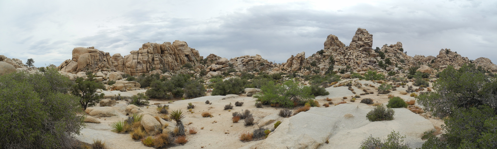 Hidden Valley Joshua Tree NP