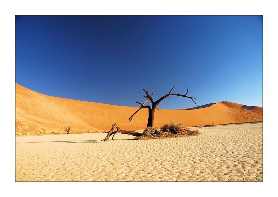 hidden vlei