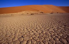 Hidden Vlei