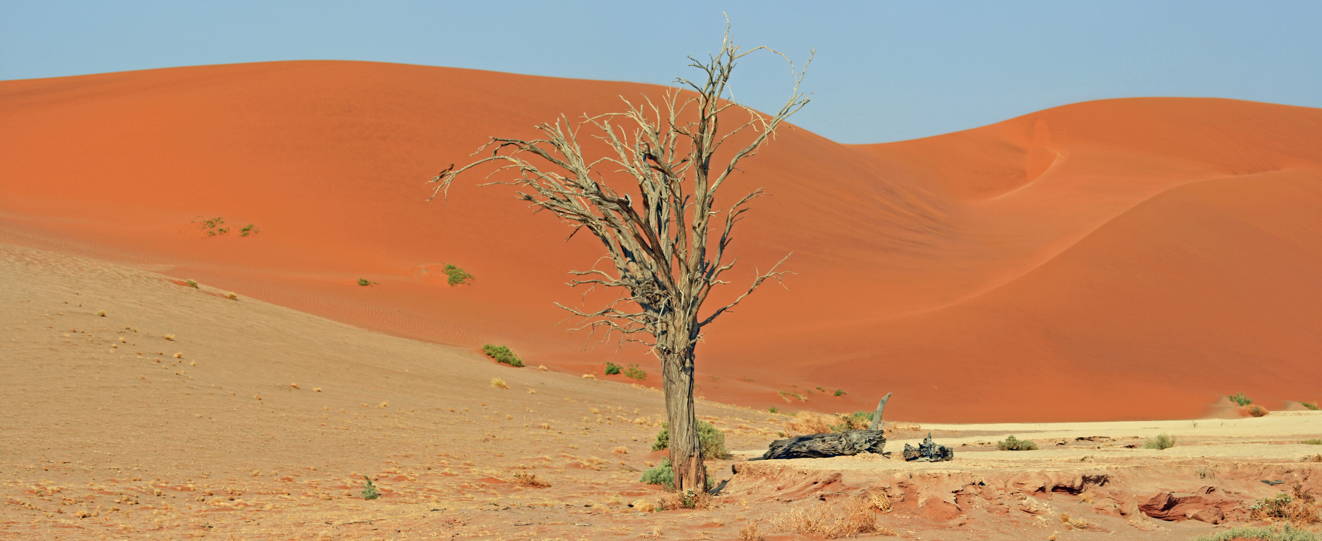 Hidden Vlei