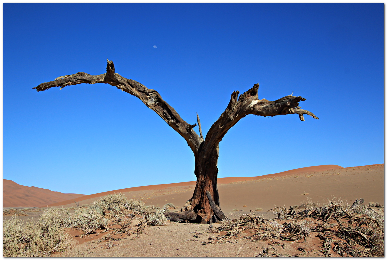 HIdden Vlei