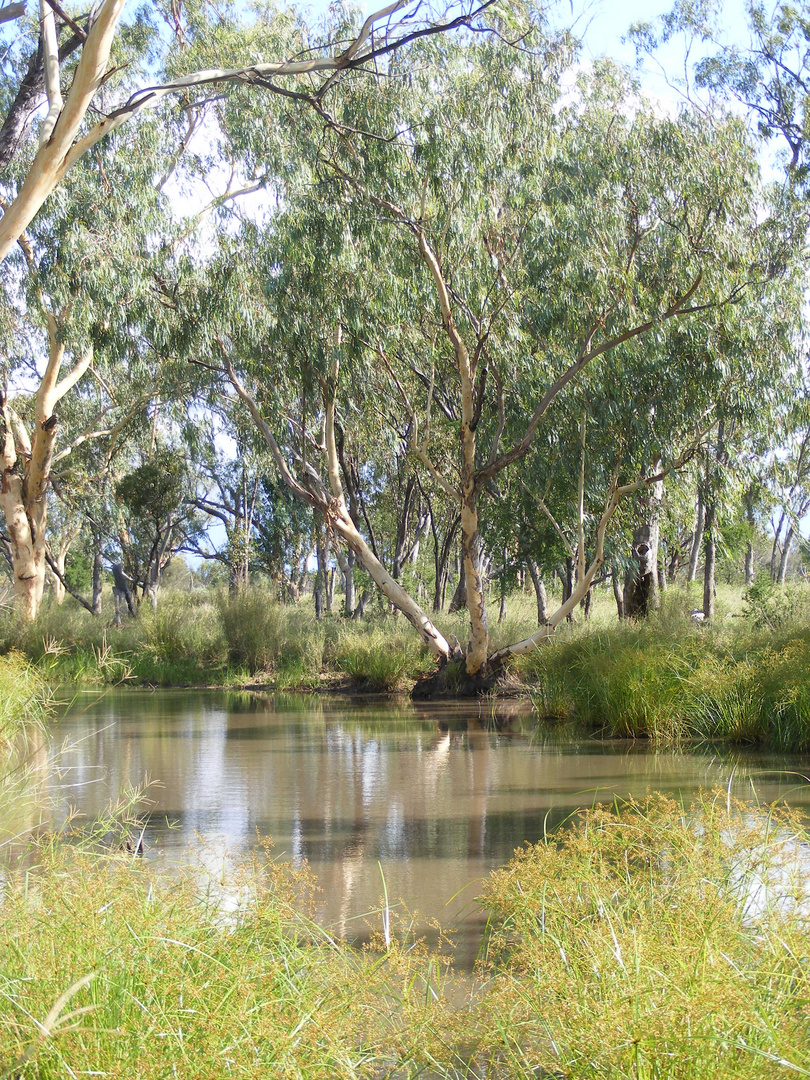 Hidden Waterhole