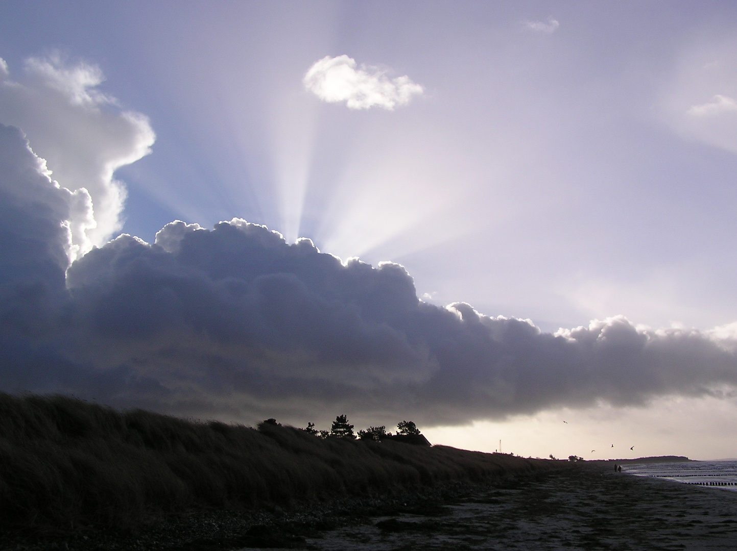 Hiddensee