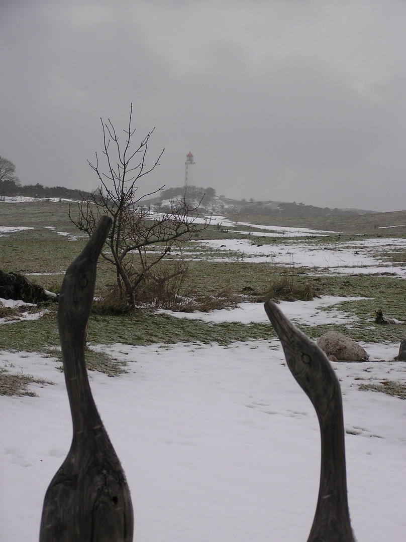 Hiddensee 2