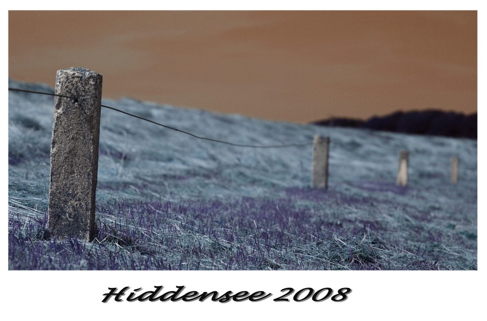 Hiddensee 2008