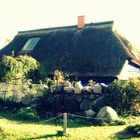 Hiddensee 2011, II