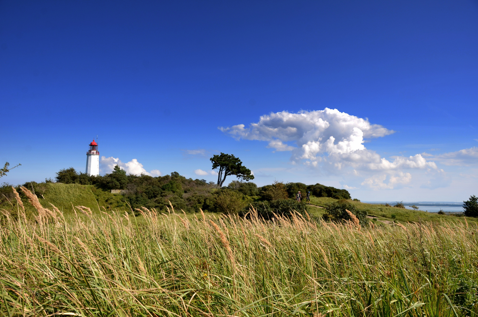 Hiddensee 2017