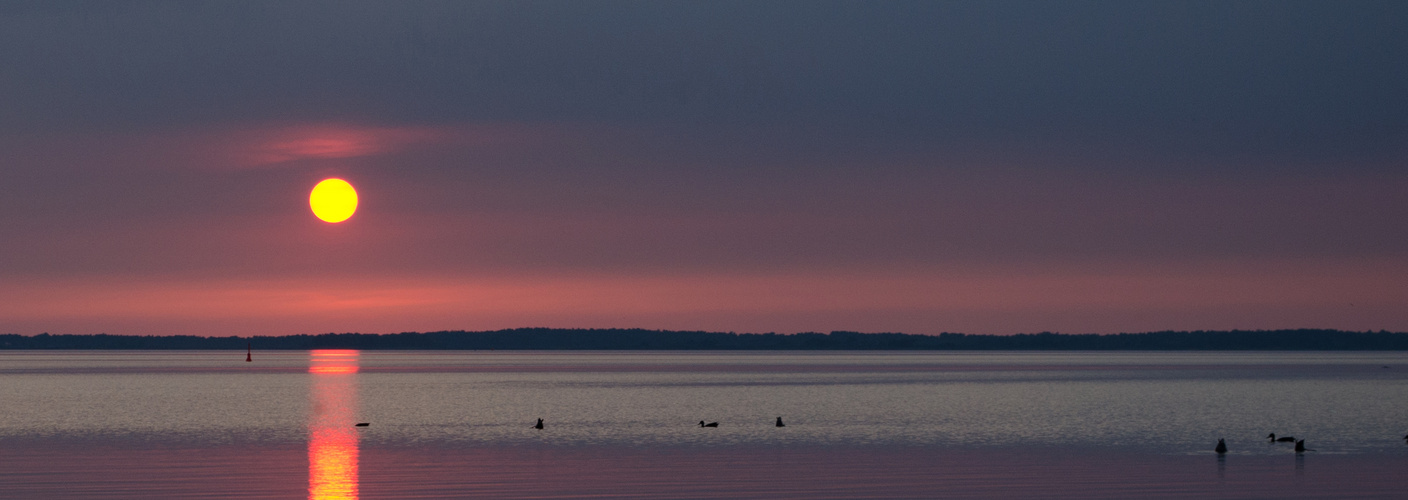 Hiddensee