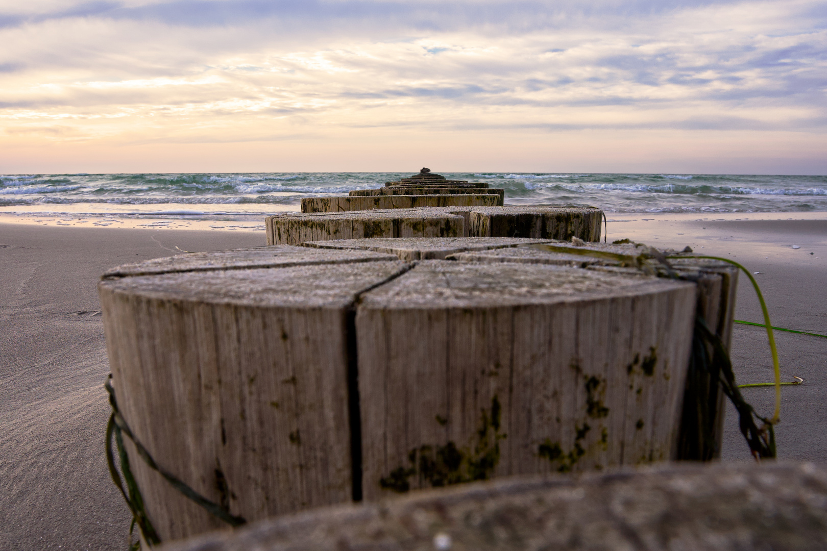 Hiddensee 