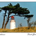 Hiddensee