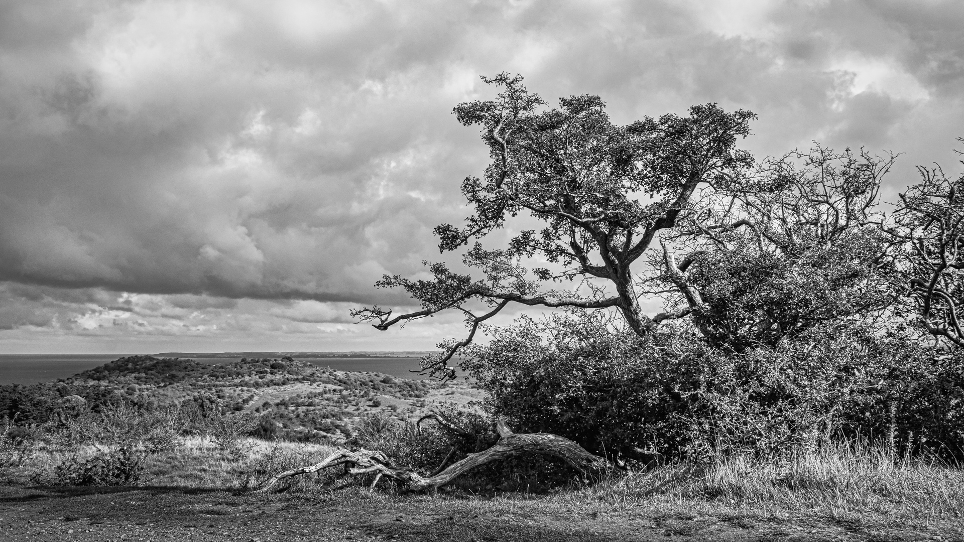 Hiddensee