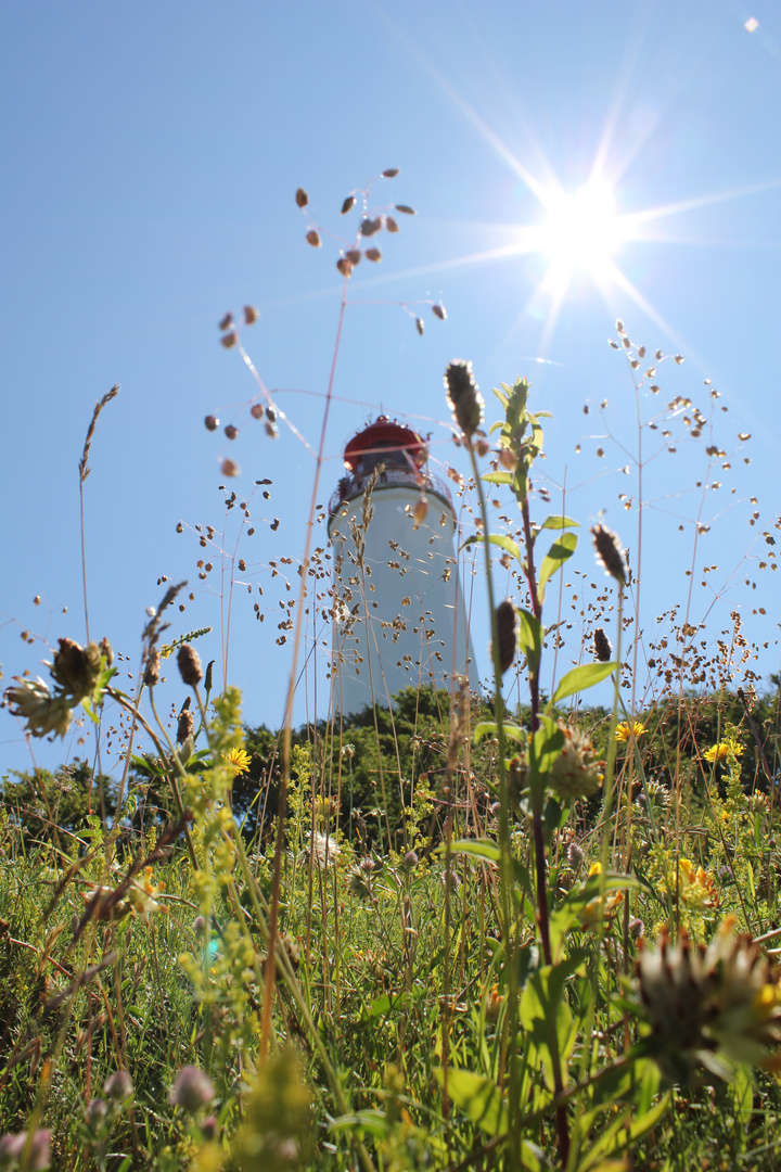 Hiddensee