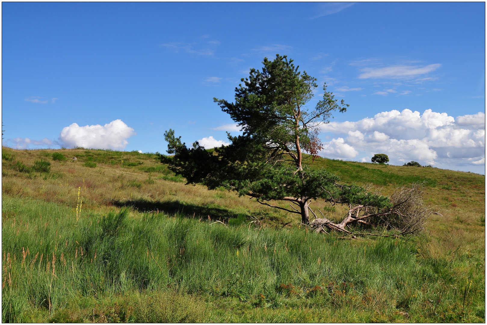 Hiddensee